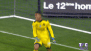 angry ligue 1 GIF by Toulouse Football Club
