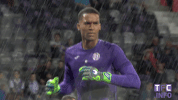 ligue 1 soccer GIF by Toulouse Football Club