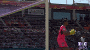 you cant see me john cena GIF by Toulouse Football Club