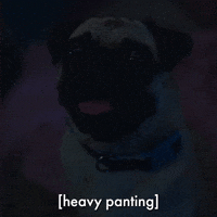 Heavy Panting