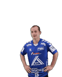 Handball Sticker by HSGSpradow