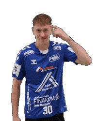 Handball Sticker by HSGSpradow