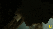 forehead kiss GIF by National Geographic Channel