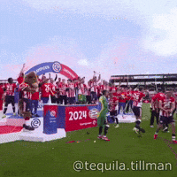 Luuk De Jong Psv GIF