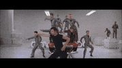 GIF by Giphy QA