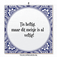 Nl Spreuk GIF by Tegelspreuken.nl