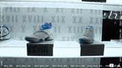 Room Jordan GIF by Carolina Football