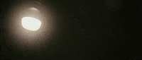 Music Video Portland GIF by Casanova Records