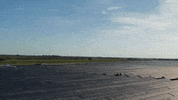 Sun GIF by Moss Construction