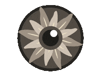 IrisFotoSchweiz photography eye spinning switzerland Sticker
