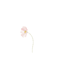 Grow For You Sticker