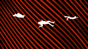 alcrego gif loop cinemagraph gif artist GIF