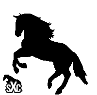 Sxc Sticker by Super X Country