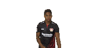 posing bayer leverkusen Sticker by Bundesliga