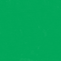 Text gif. In bold, capitalized green text against a white background appears the message, “We will aid and abet abortion.”
