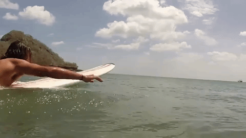 surf paddling GIF