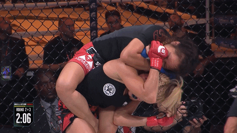 fight get it GIF by Bellator
