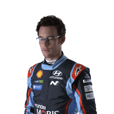 dust hyundai Sticker by FIA World Rally Championship