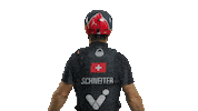Team Switzerland Sticker by SailGP