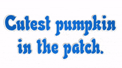 Fall Autumn GIF