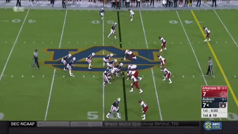 carolinefohrellsterritt giphygifmaker GIF