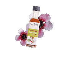 Salad Dressing Sauce Sticker by Kai Ora Honey