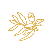 New Zealand Icon Sticker by Mānuka Health New Zealand