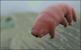 water post GIF