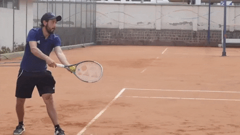 fernandoron giphyupload GIF