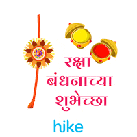 Raksha Bandhan Festival Sticker by Hike Sticker Chat