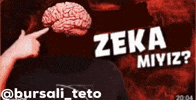 Zeka Evrim GIF