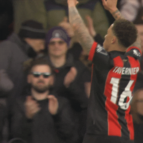 Happy Premier League GIF by AFC Bournemouth