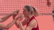 Usa Power GIF by Volleyball World