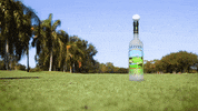 FuzzysVodka golf drinking drunk smash GIF