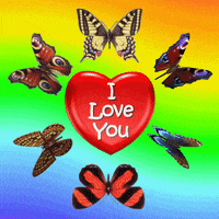 I Love You GIF