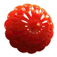 Sticker Adc Sticker by ADC_Germany