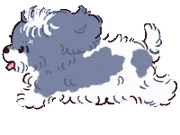 Dog 走る Sticker by akaKUMA