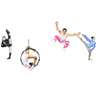 LaCremeDanceAcademy lcda la creme purple team la creme dance academy Sticker
