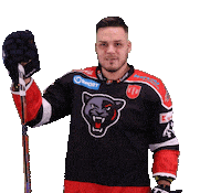 tiposshl sport hockey panthers hokej Sticker
