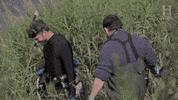 history channel fall GIF by HISTORY UK