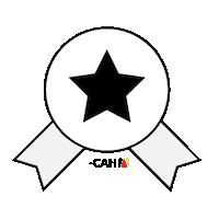 Award Estrella Sticker by ColegioAlemanHumboldt_