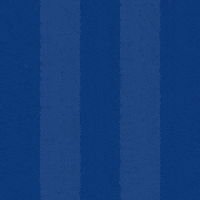 Football Goal GIF by Odense Boldklub