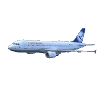 Take Off Freedom Sticker by Freebird Airlines