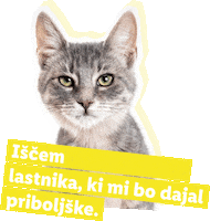 Koraki Za Tacke Sticker by Lidl Slovenija