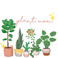 Fiddle Leaf Plant Sticker by Roxy James