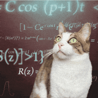 Cat Meme GIF by Furrend