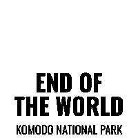 Endoftheworld Sticker by Dragon Dive Komodo