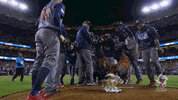 world baseball classic wbc GIF by MLB