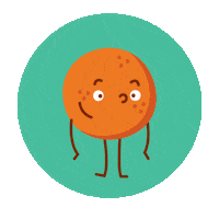 Orange Sticker by America's Test Kitchen