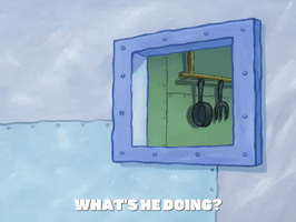 season 7 the curse of bikini bottom GIF by SpongeBob SquarePants